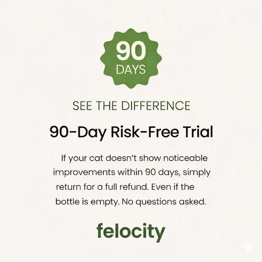 Felocity Advanced Catnip Oil