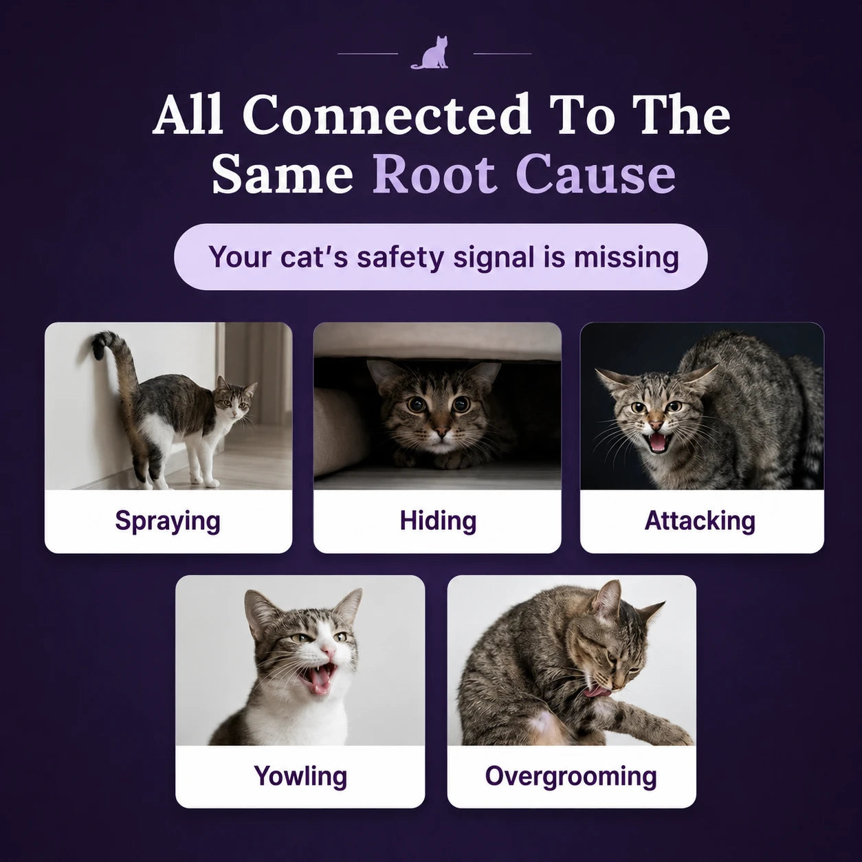Felocity Cat Calming Diffuser (US Plug)