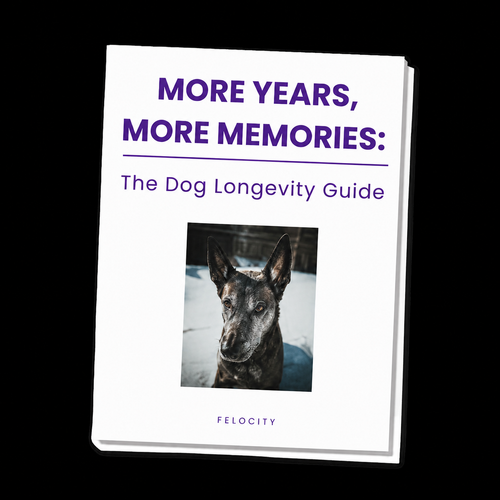 Felocity The Dog Longevity Guide - Ebook