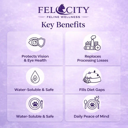 Felocity™ Daily Taurine Support