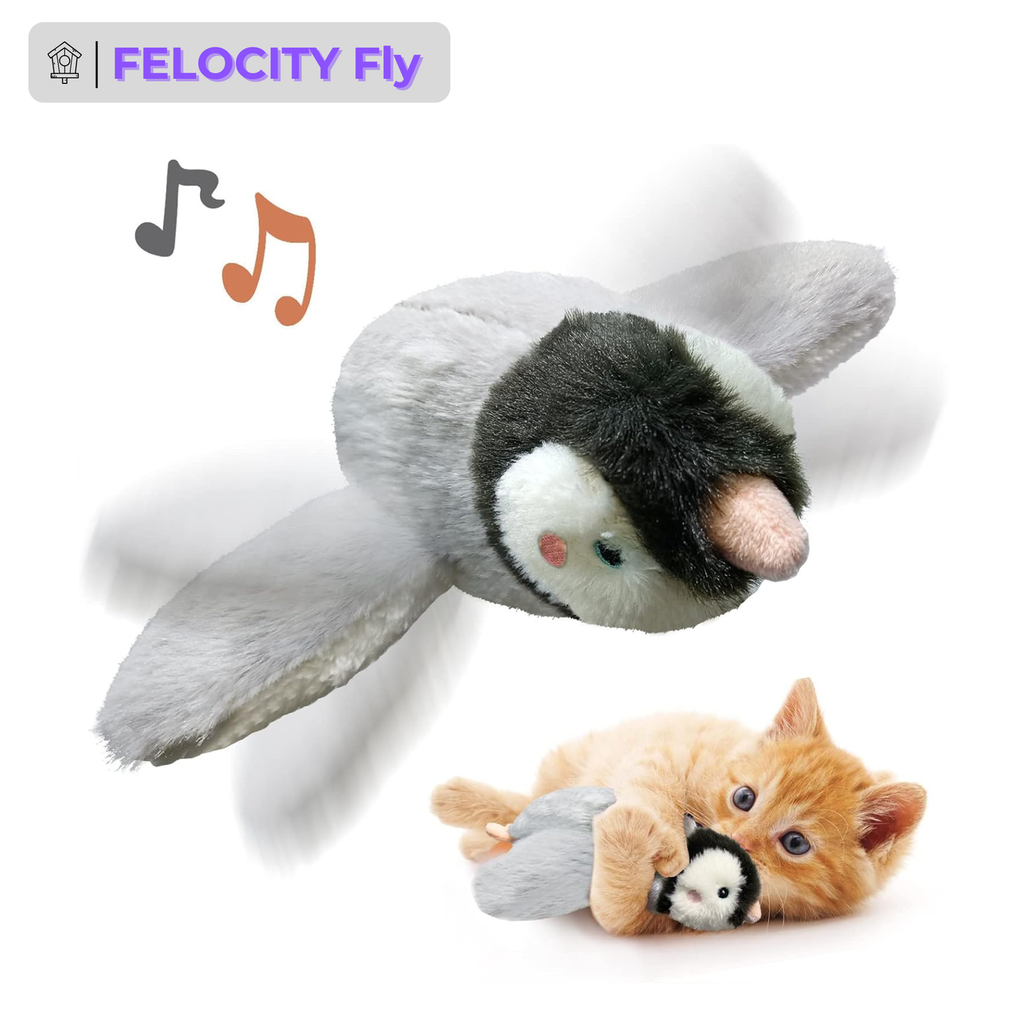 FELOCITY Fly