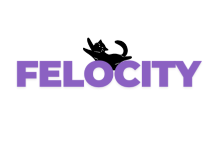 FELOCITY