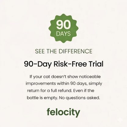 Felocity Advanced Catnip Oil
