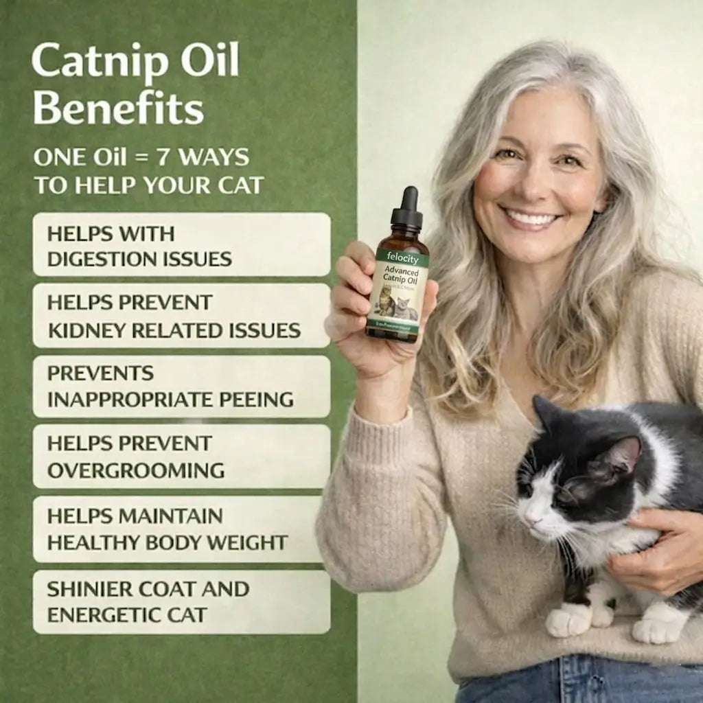 Felocity Advanced Catnip Oil