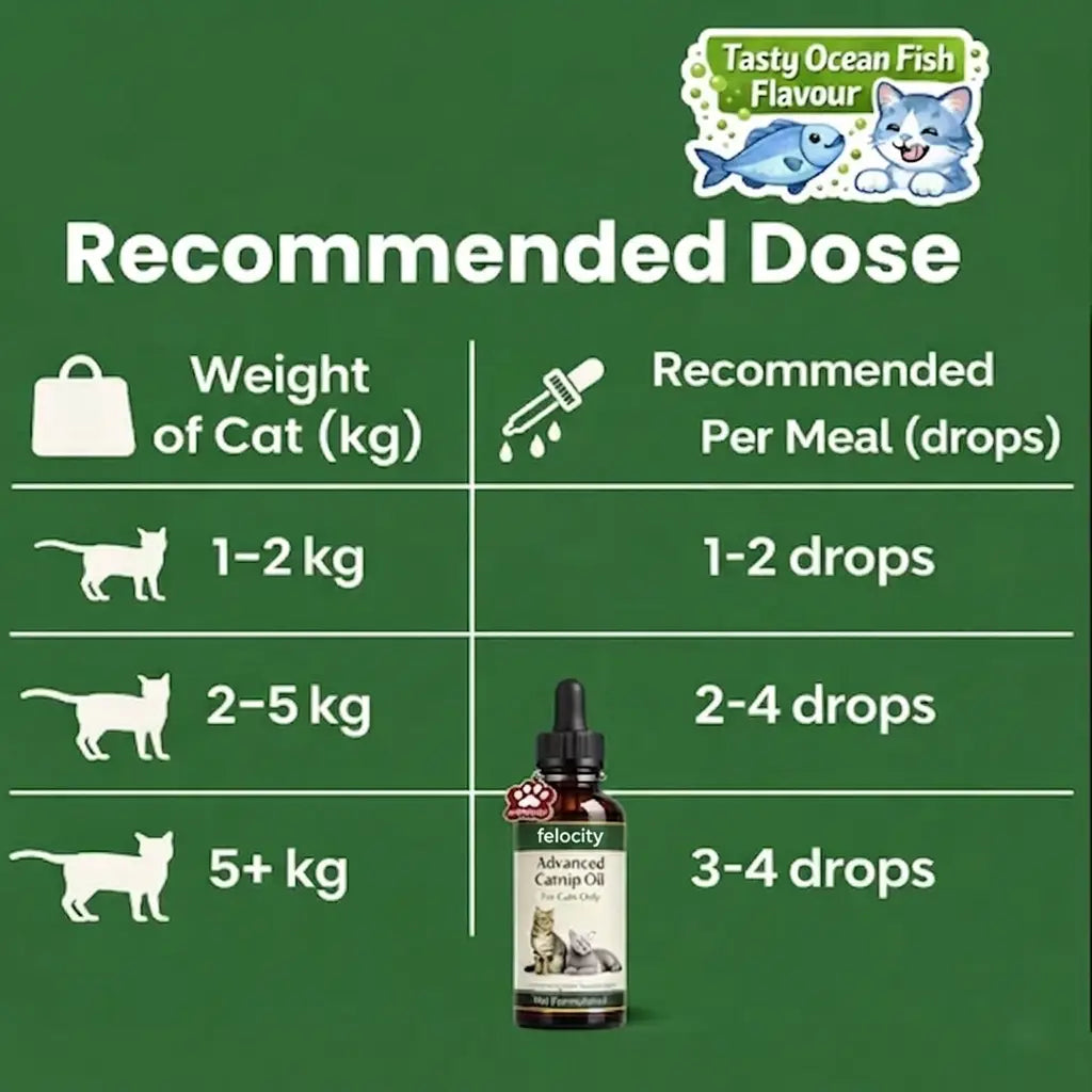 Felocity Advanced Catnip Oil