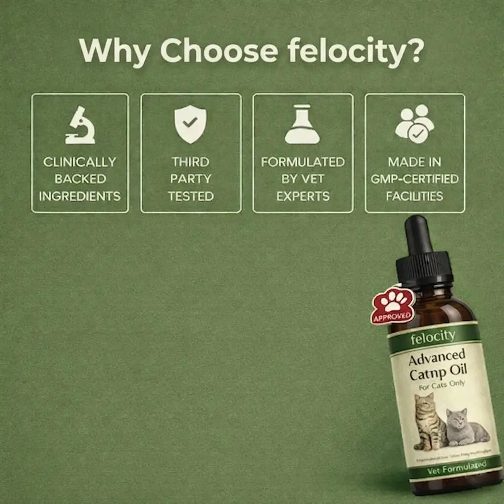 Felocity Advanced Catnip Oil