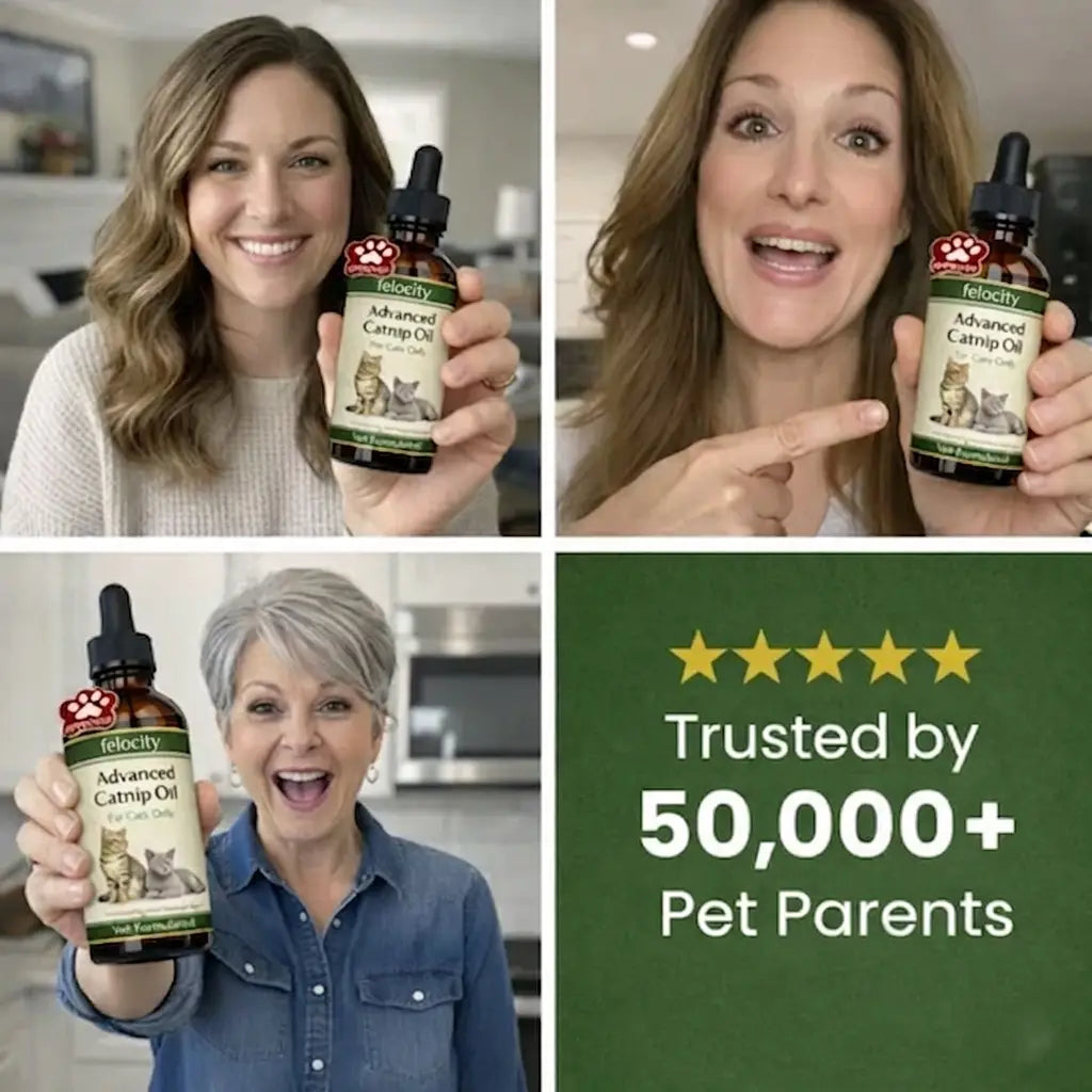 Felocity Advanced Catnip Oil