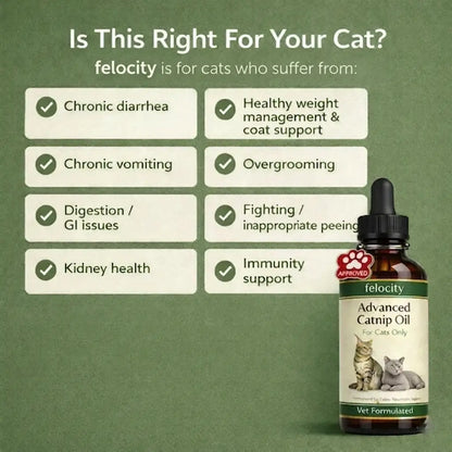 Felocity Advanced Catnip Oil