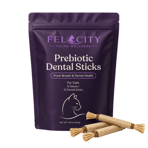 Probiotic Dental Sticks