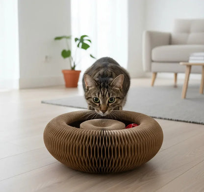 Be The Cat Parent Your Fur Baby Deserves!