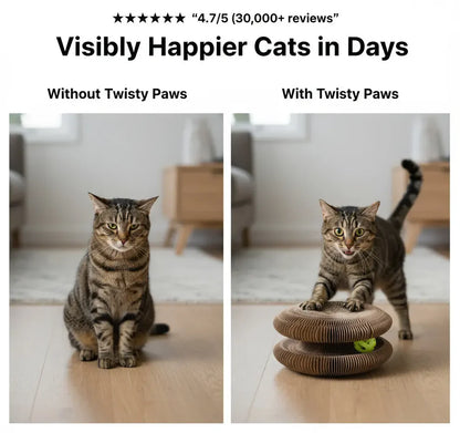 Be The Cat Parent Your Fur Baby Deserves!