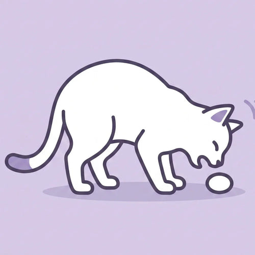 Vomiting & Hairballs